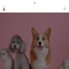 petinnovationawards.com