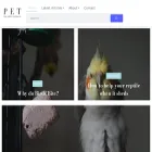 petmag.com.au