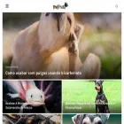 petpedia.com.br