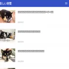 petsccs.com