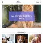 petshoper.com
