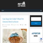 pettipsandtricks.com