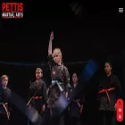 pettismartialarts.com