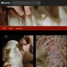 pharmakon.bandcamp.com