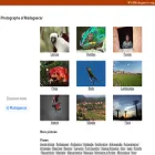 photos.wildmadagascar.org