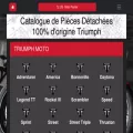pieces-triumph.com