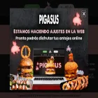 pigasus.com.co