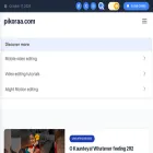 pikoraa.com