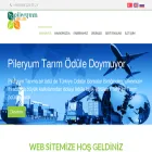 pileryum.com