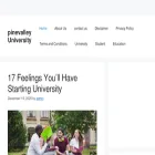 pinevalley.site