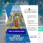 piq.com.mx