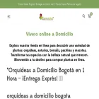 plantasymas.com.co