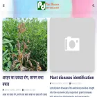 plantsdiseases.com
