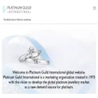platinumguild.com