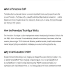 pomodorocat.com