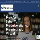portalmilenium.co