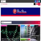 portalpebao.com.br