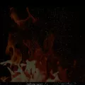 prbannockfactory.webstarts.com