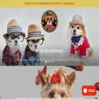 preppycompanion.com