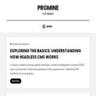 prgmine.com