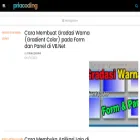 priacoding.com