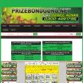 prizebondguru.net