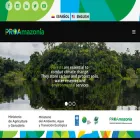 proamazonia.org