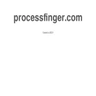 processfinger.com