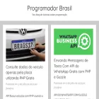 programadorbrasil.com.br