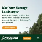 progressivelawnandlandscaping.com