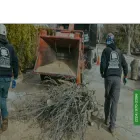 progressivetree.com