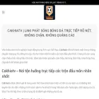 prolifeevangelicalsforbiden.com