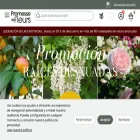 promessedefleurs.es
