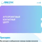proserviceinfo.ru