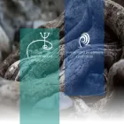 psychoterapeuti.org