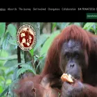 pulauorangutan.com