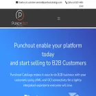 punchoutcatalogs.com