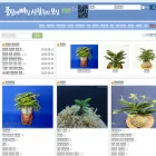 pungnan.com