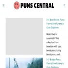 punscentral.com