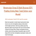 puppetrylab.com