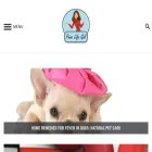 purelifegal.com