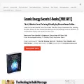 purereikihealing.com