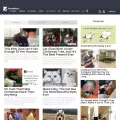 purrworld.com