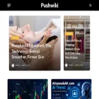 pushwiki.net