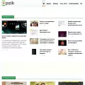 pzik.ru