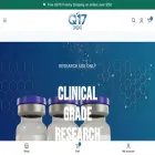 q-17.com