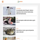 qcanimais.com.br