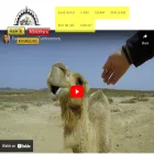 quadadventure.net