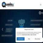 quadaxvalves.com