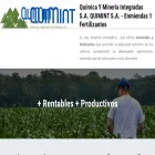 quimint.com